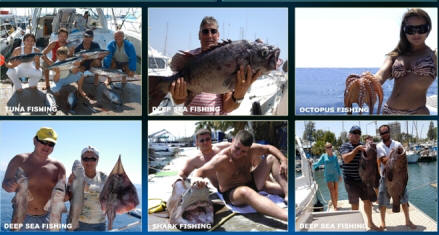 Octopus fishing as well as other traditional fishing trips in Cyprus