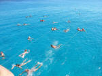 A pod of humans swimming in a natural clean environment off Cyprus.