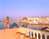 Casa Delfino Hotel Crete Island Rooftop, Click to enlarge