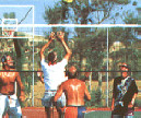 Marmari Beach Hotel Kos Island Volleyball, Click to enlarge